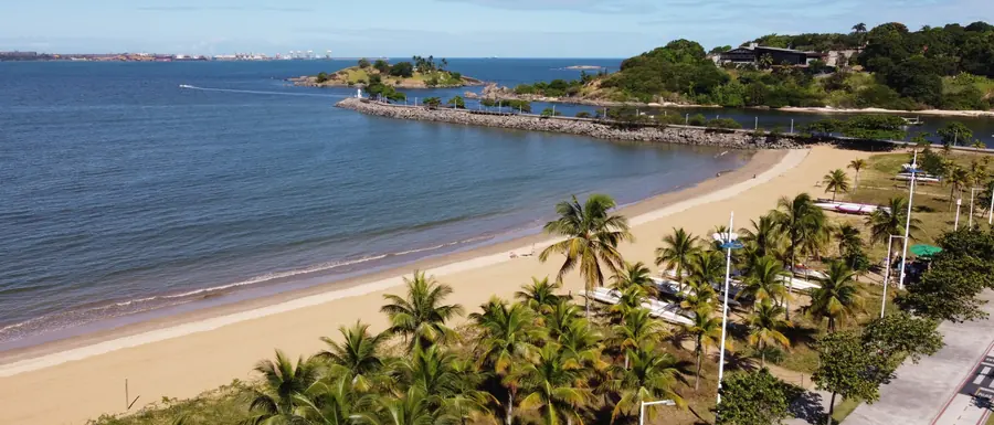 Vista aérea da orla da Ilha do Boi, com a faixa de praia e os coqueiros